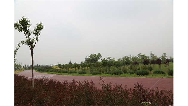 標(biāo)題：大青山南坡生態(tài)修復(fù)
瀏覽次數(shù)：2303
發(fā)表時間：2020-10-16