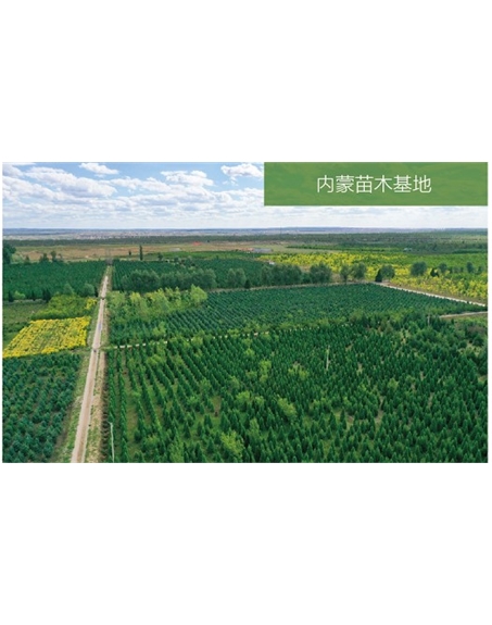 標題：苗木基地
瀏覽次數(shù)：2265
發(fā)表時間：2020-10-17