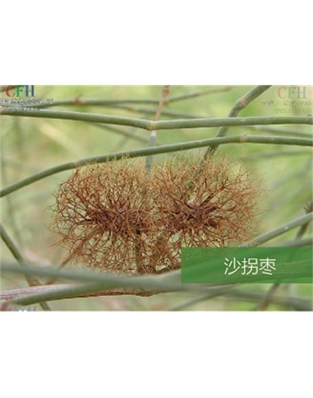 標(biāo)題：名貴樹種
瀏覽次數(shù)：1717
發(fā)表時(shí)間：2020-10-17
