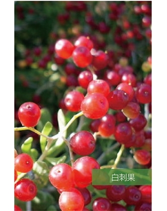 標(biāo)題：名貴樹種
瀏覽次數(shù)：1707
發(fā)表時間：2020-10-17